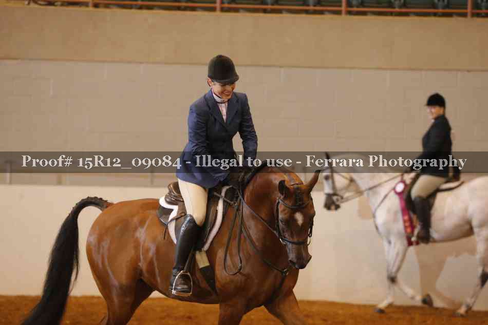 Proof Number 15R12_09084