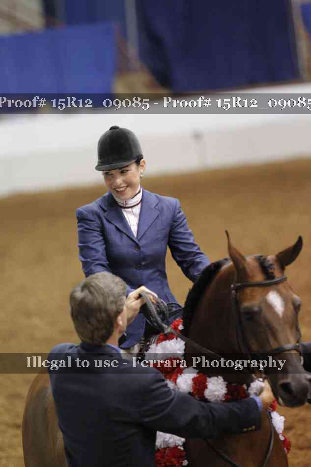 Proof Number 15R12_09085