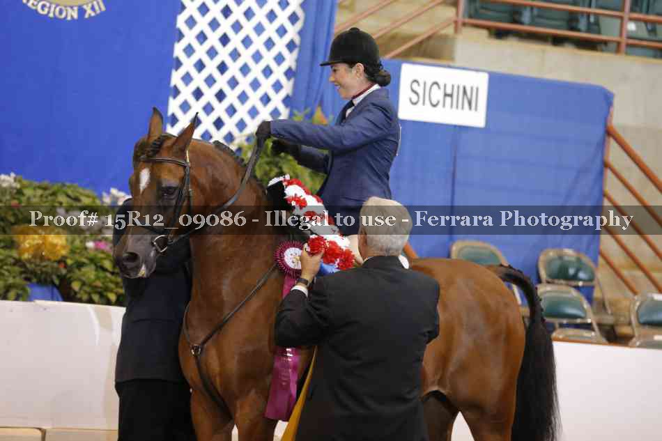 Proof Number 15R12_09086