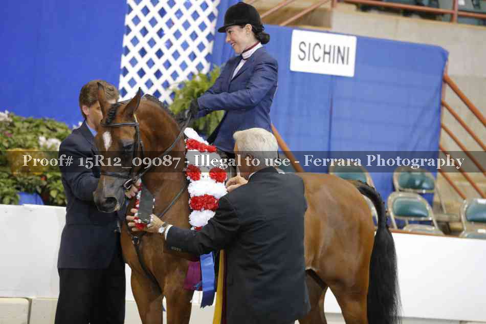 Proof Number 15R12_09087