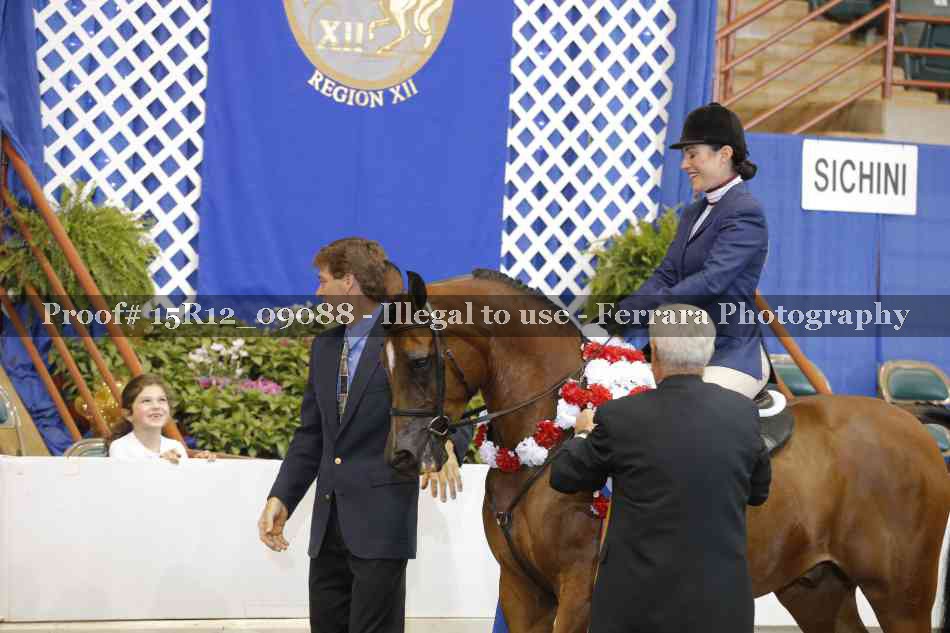 Proof Number 15R12_09088