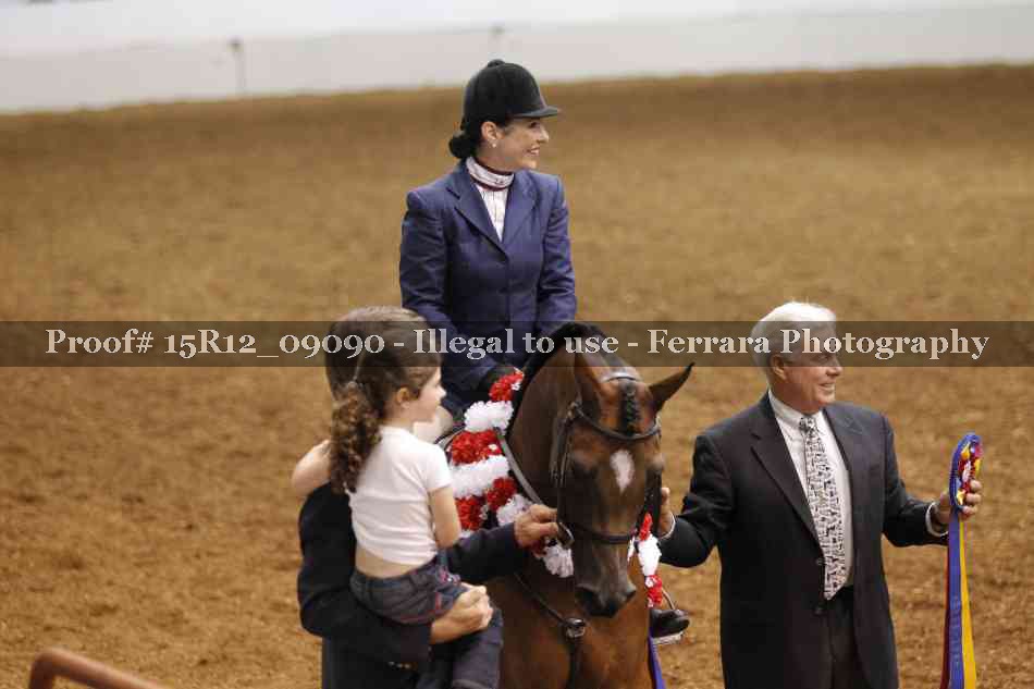 Proof Number 15R12_09090