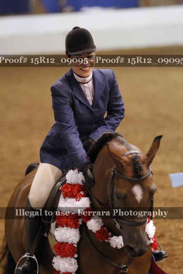 Proof Number 15R12_09095