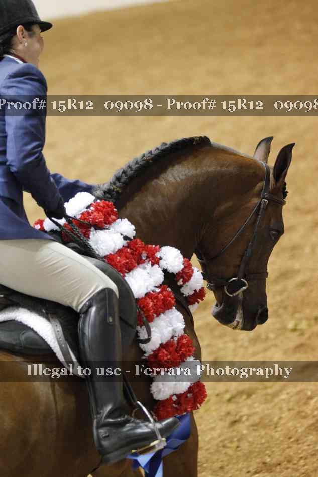 Proof Number 15R12_09098