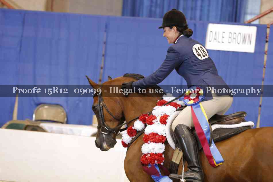 Proof Number 15R12_09099
