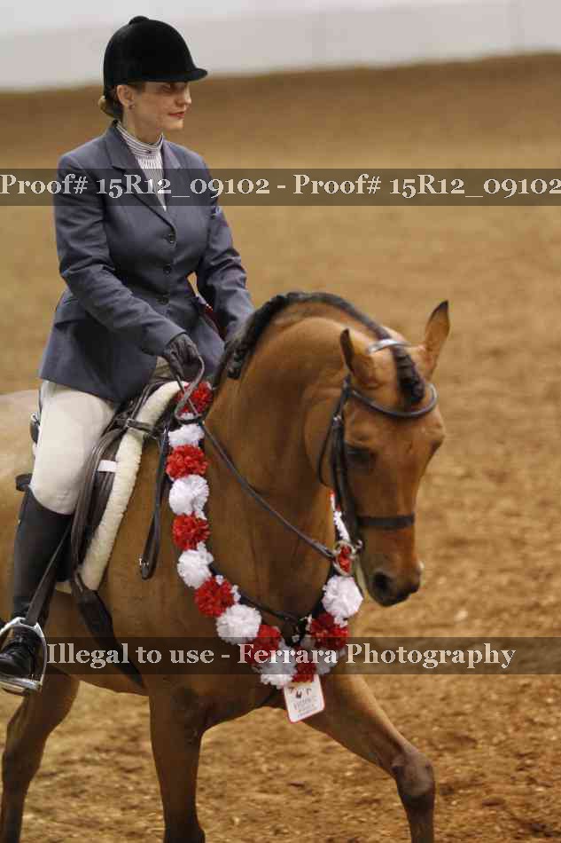 Proof Number 15R12_09102