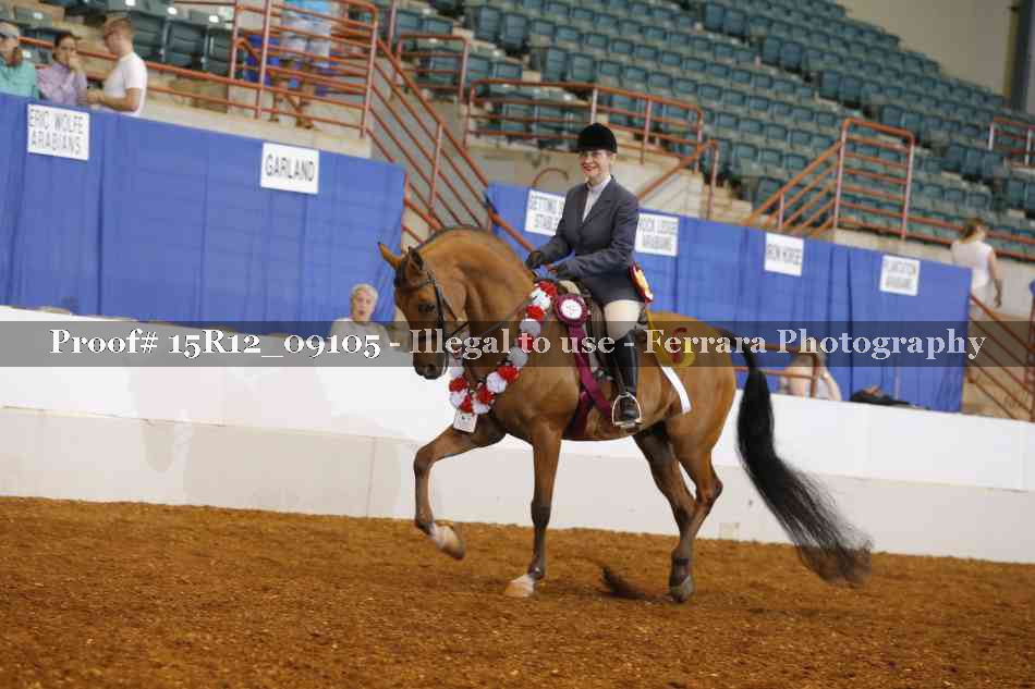 Proof Number 15R12_09105