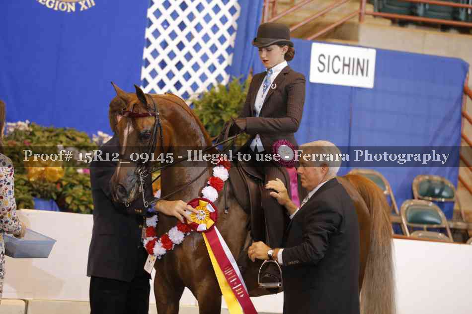 Proof Number 15R12_09145