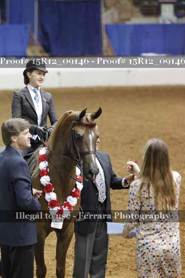 Proof Number 15R12_09146