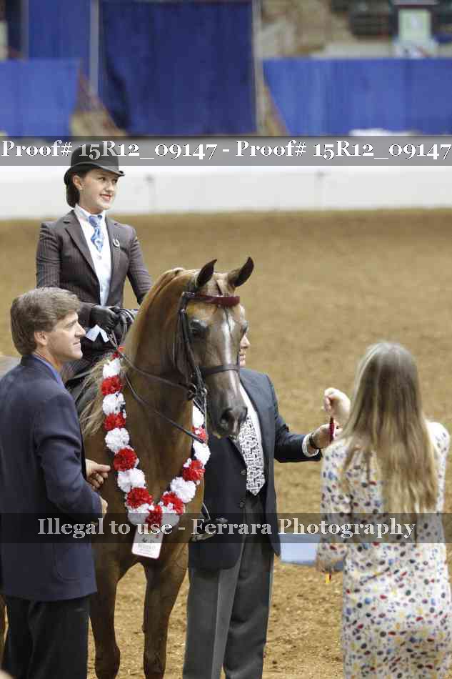Proof Number 15R12_09147