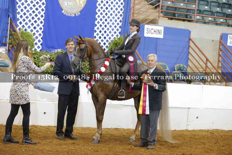 Proof Number 15R12_09148