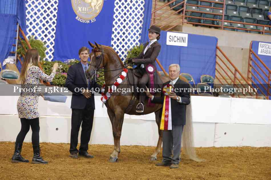 Proof Number 15R12_09149