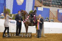 15R12_09149 thumbnail