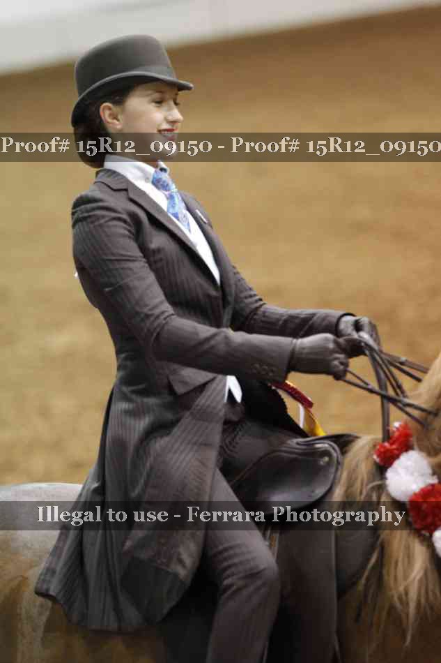 Proof Number 15R12_09150