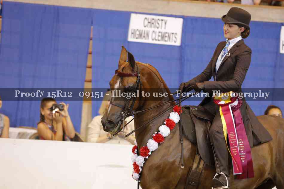 Proof Number 15R12_09151
