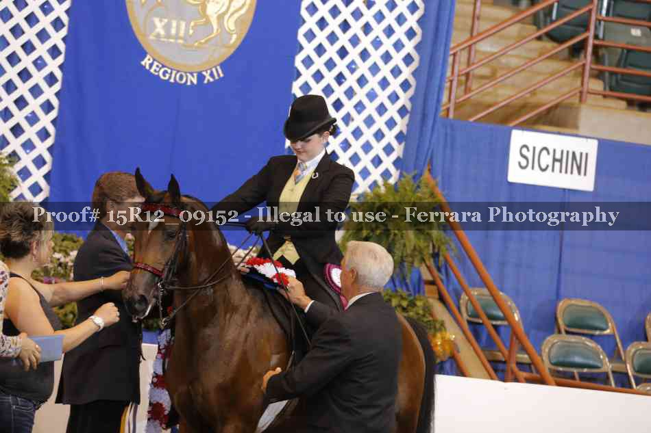 Proof Number 15R12_09152