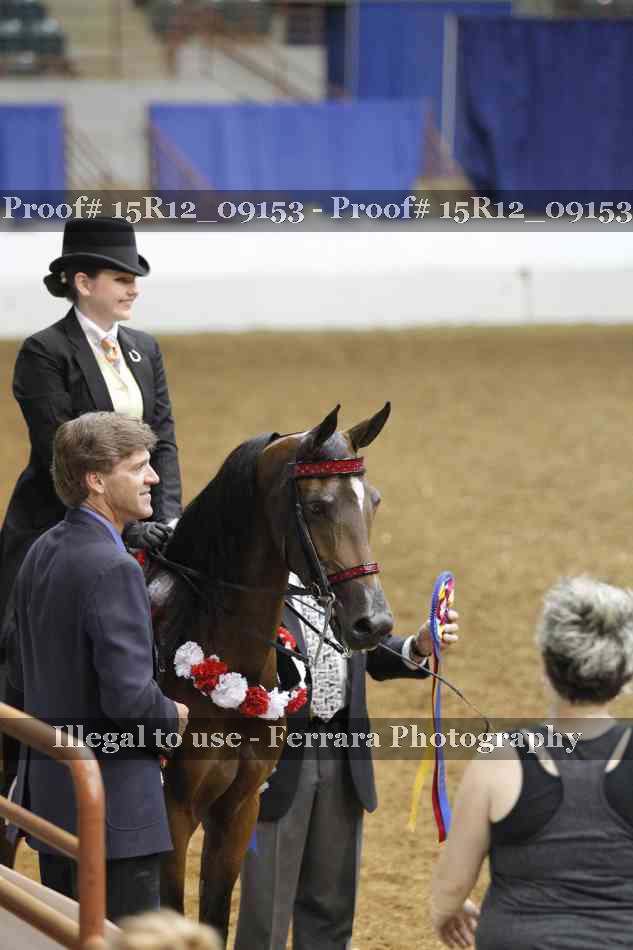 Proof Number 15R12_09153