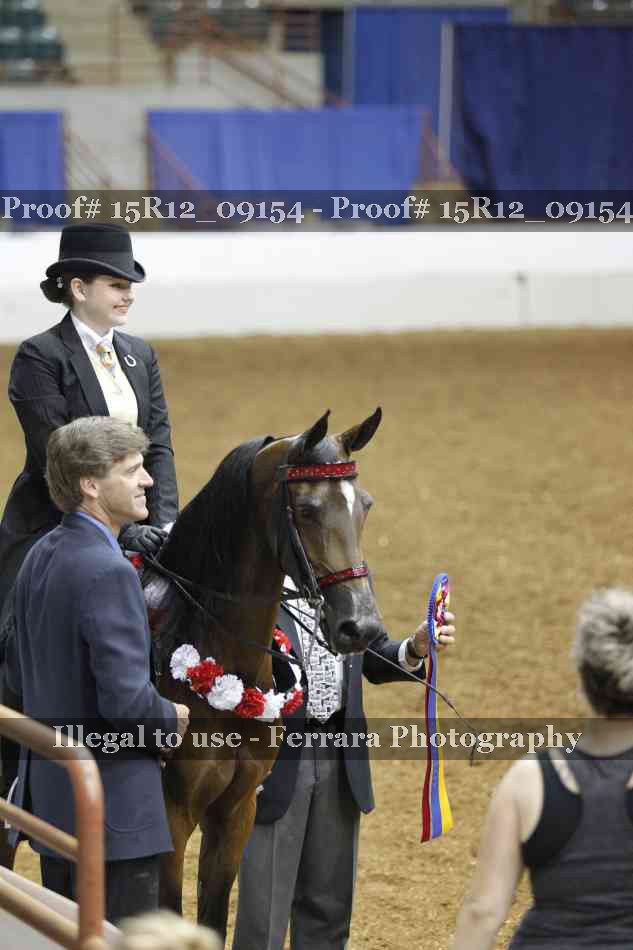 Proof Number 15R12_09154