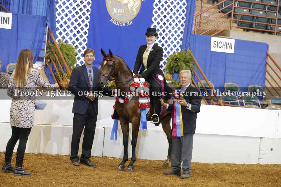 Proof Number 15R12_09155