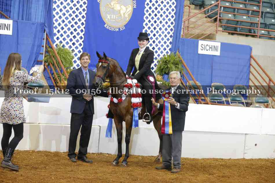 Proof Number 15R12_09156