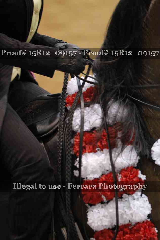 Proof Number 15R12_09157