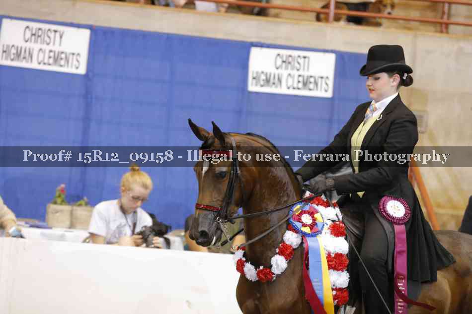 Proof Number 15R12_09158