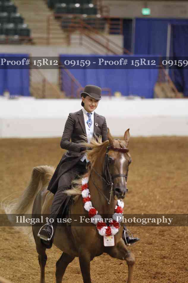 Proof Number 15R12_09159