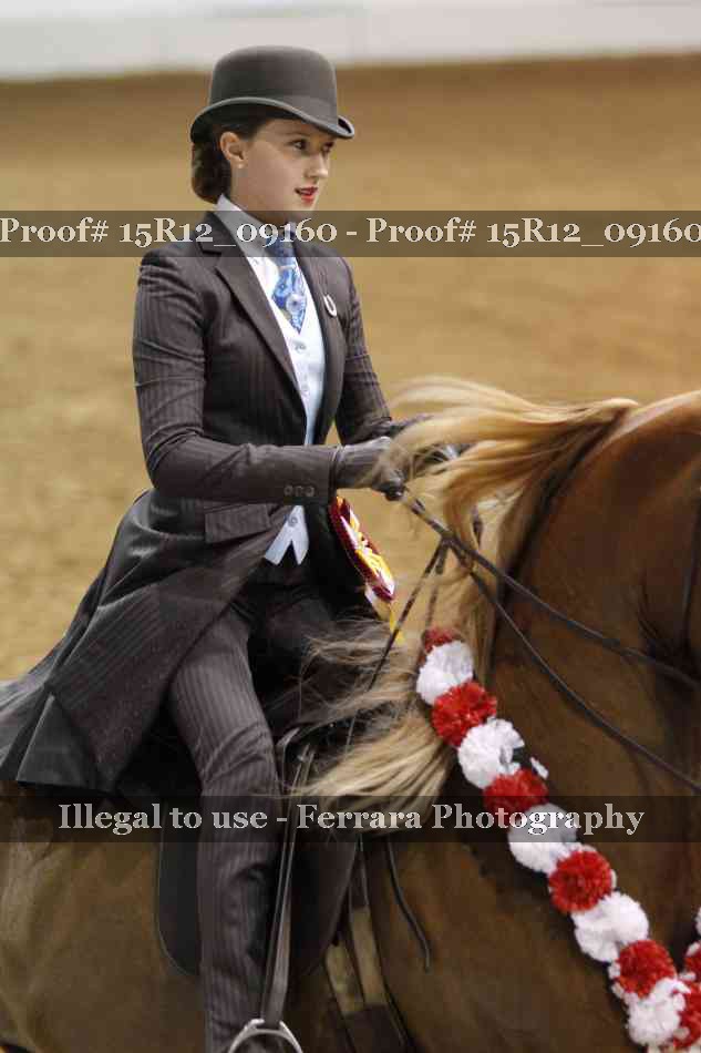 Proof Number 15R12_09160