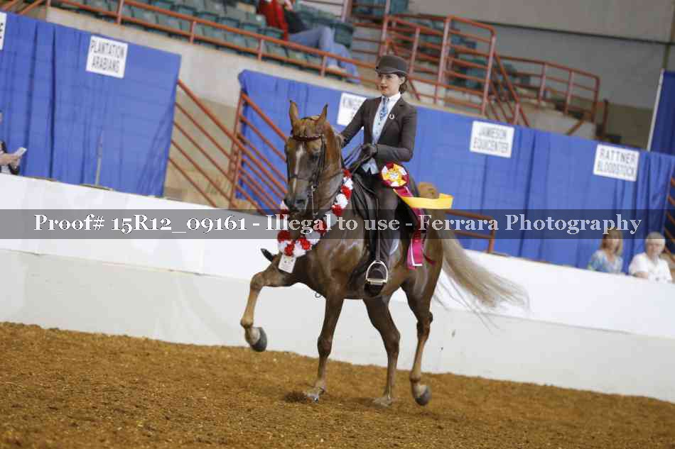 Proof Number 15R12_09161