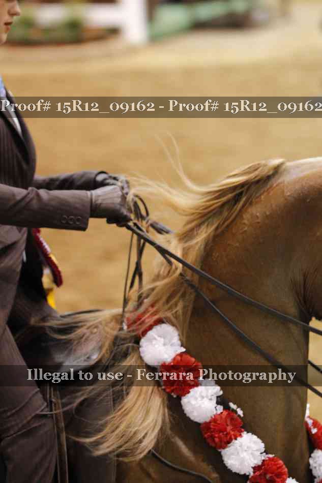 Proof Number 15R12_09162
