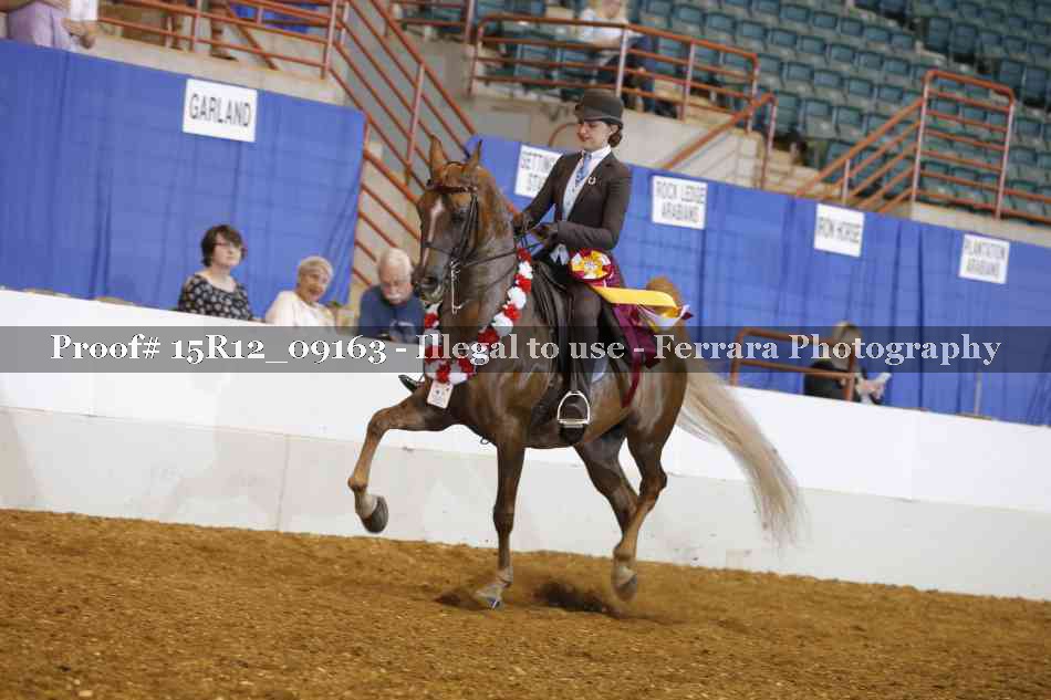 Proof Number 15R12_09163