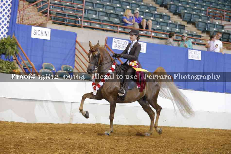 Proof Number 15R12_09164