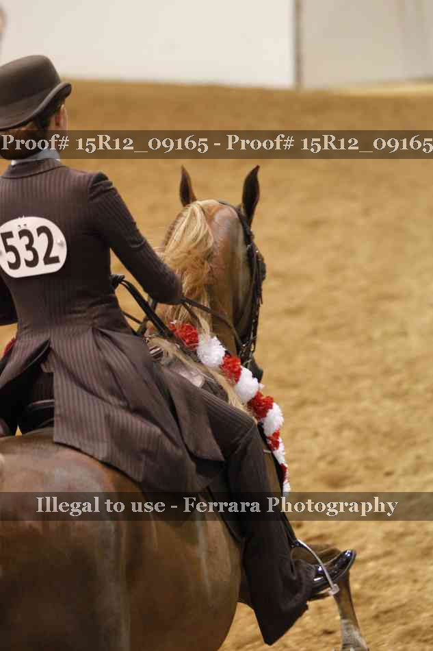 Proof Number 15R12_09165