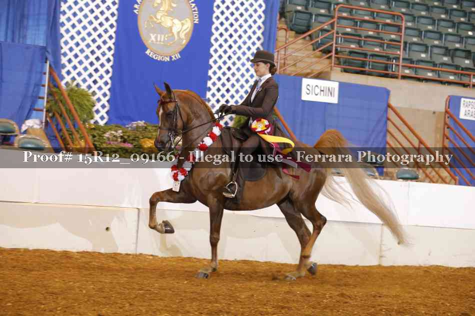 Proof Number 15R12_09166