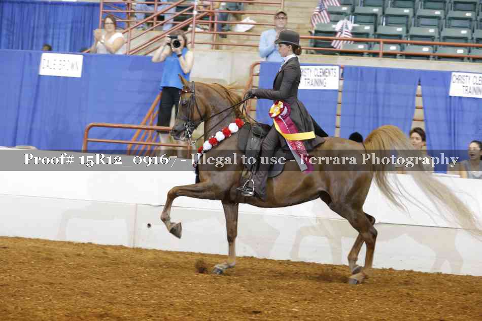 Proof Number 15R12_09167