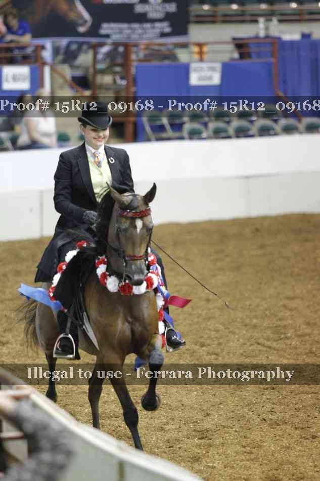 Proof Number 15R12_09168