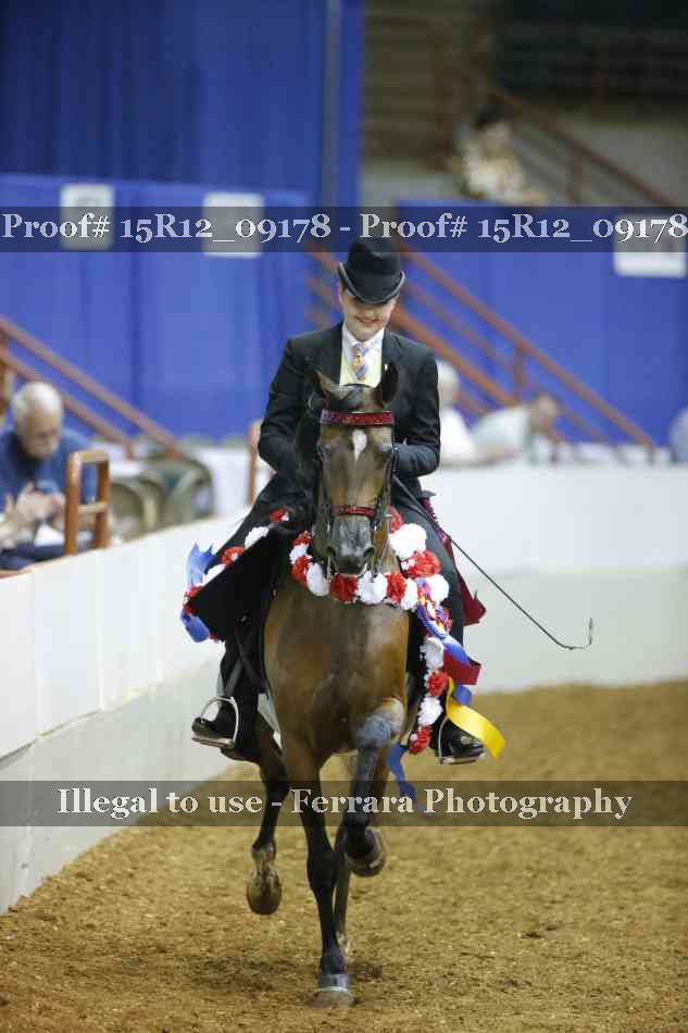 Proof Number 15R12_09178