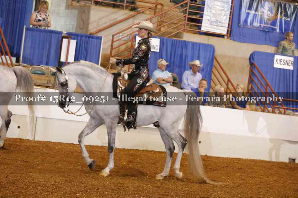 Proof Number 15R12_09251