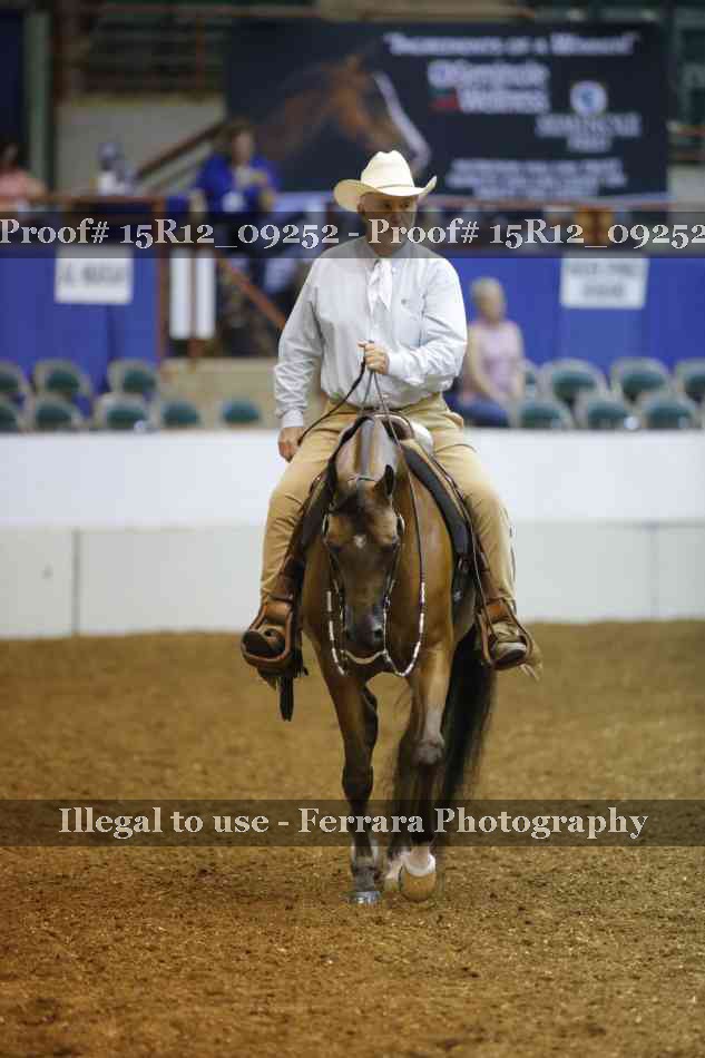 Proof Number 15R12_09252