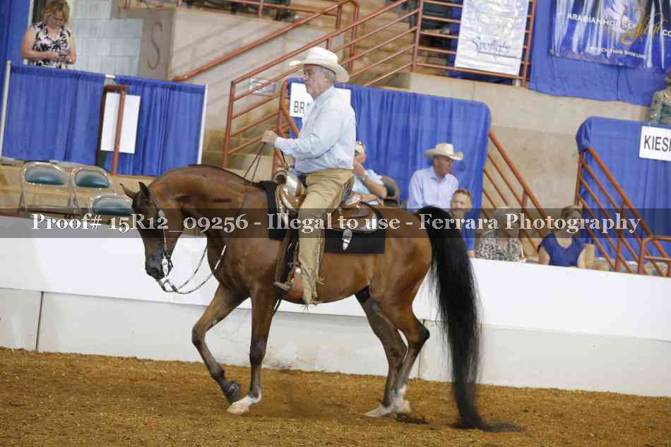 Proof Number 15R12_09256