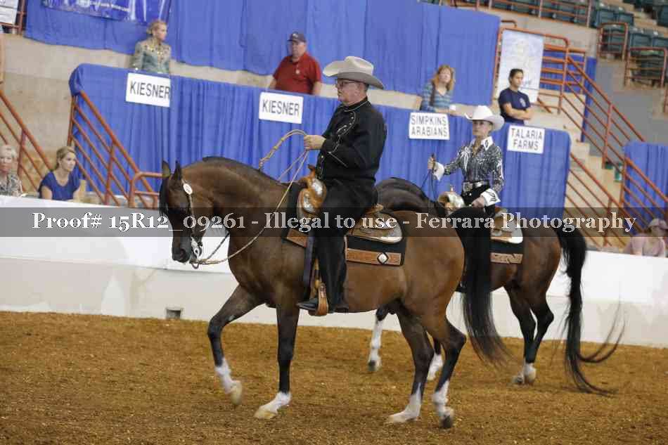 Proof Number 15R12_09261