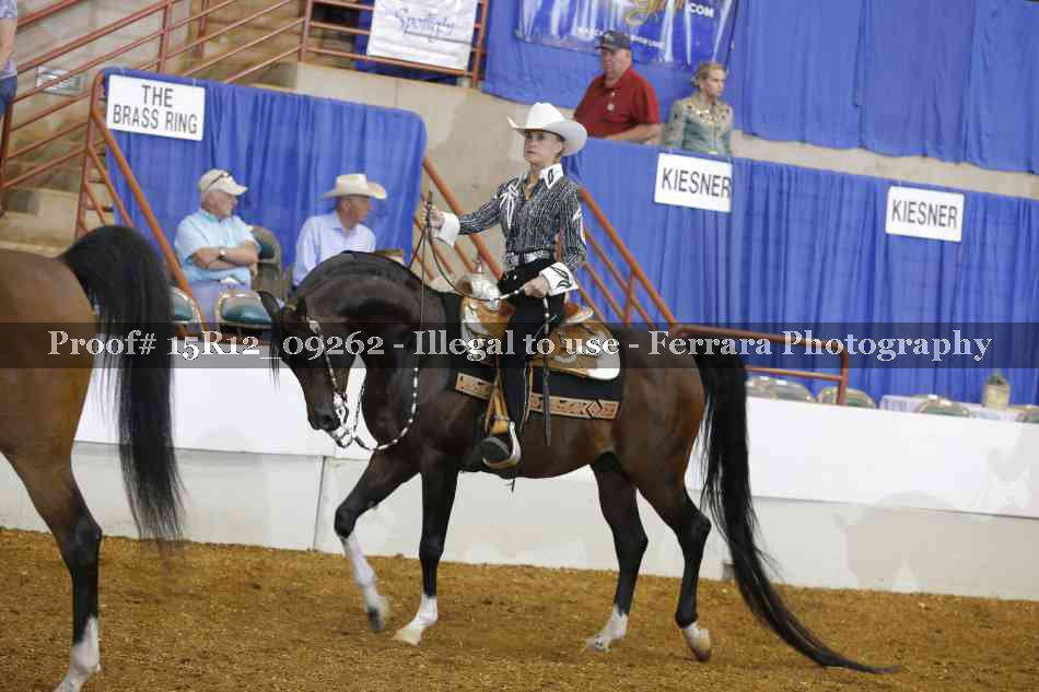 Proof Number 15R12_09262