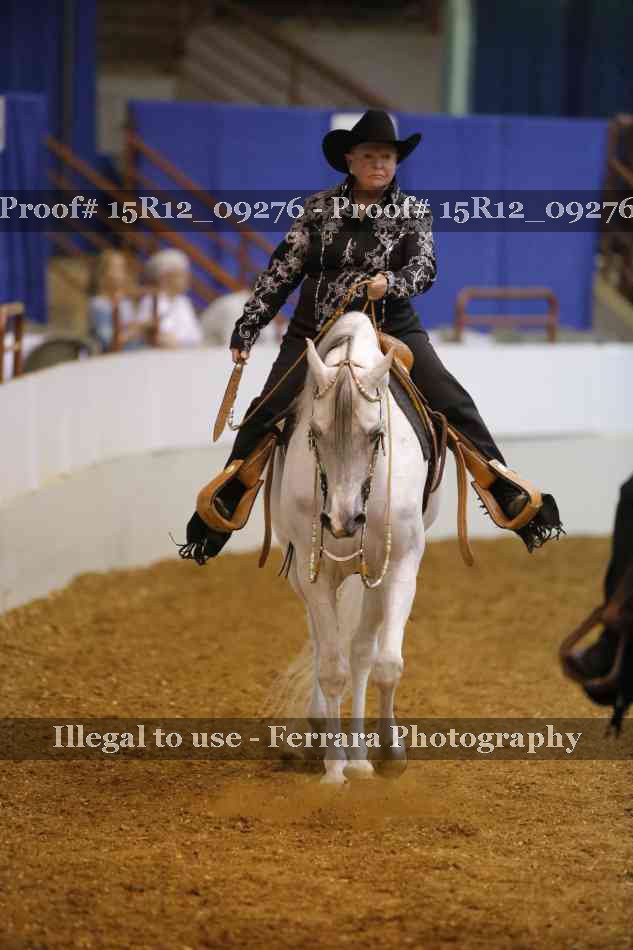 Proof Number 15R12_09276