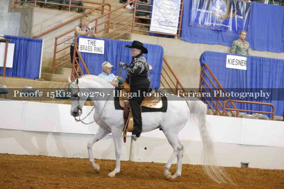 Proof Number 15R12_09279
