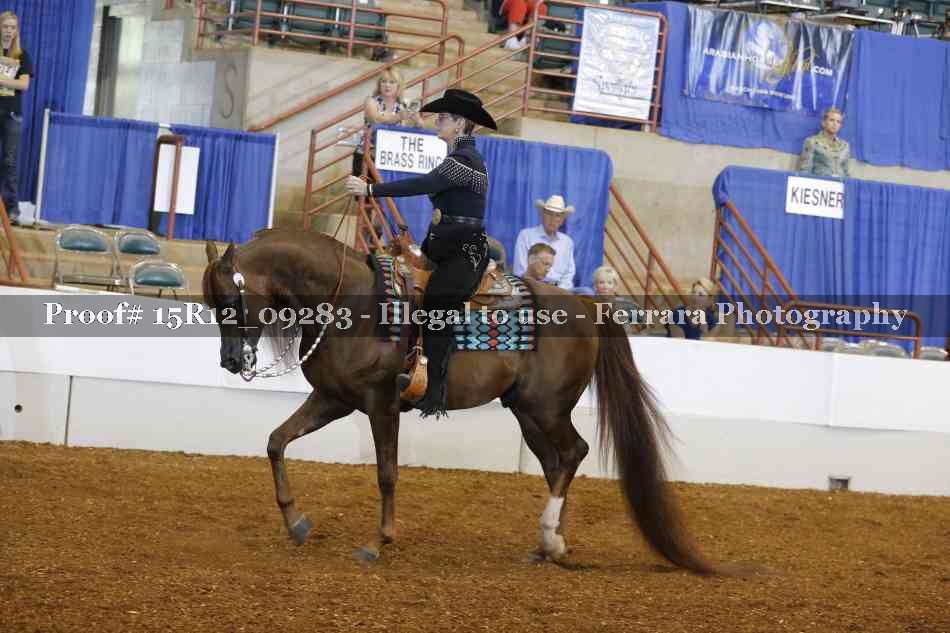 Proof Number 15R12_09283