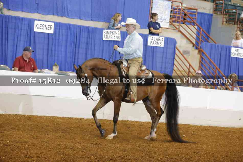 Proof Number 15R12_09284