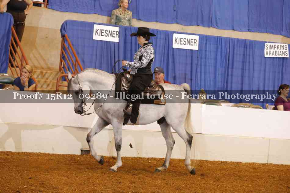 Proof Number 15R12_09289