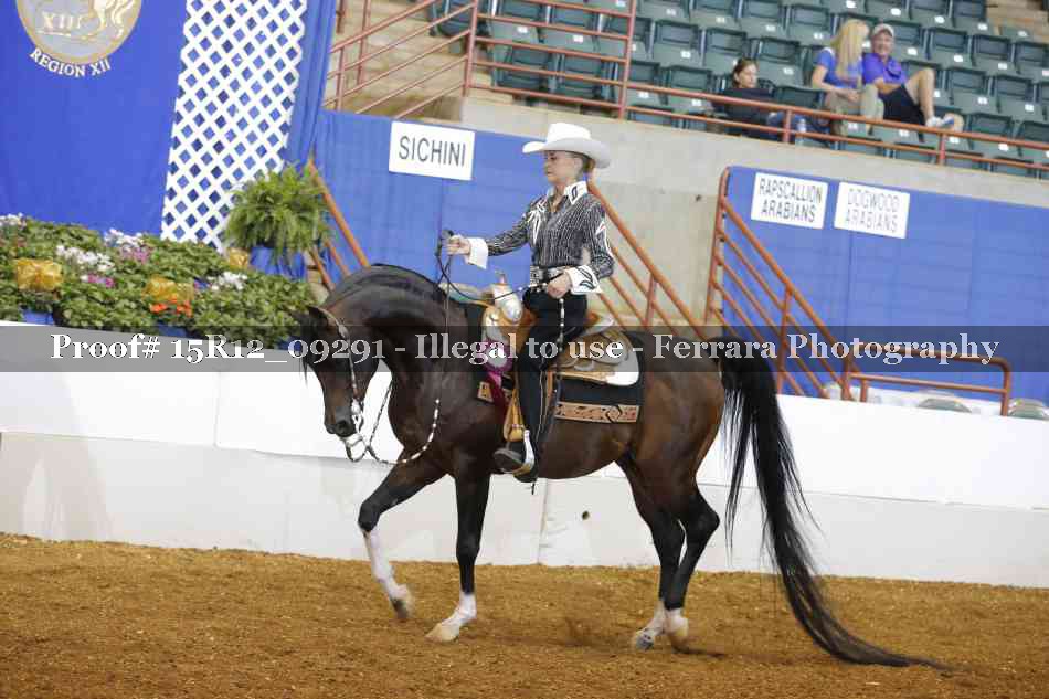 Proof Number 15R12_09291