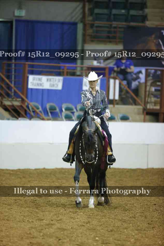 Proof Number 15R12_09295