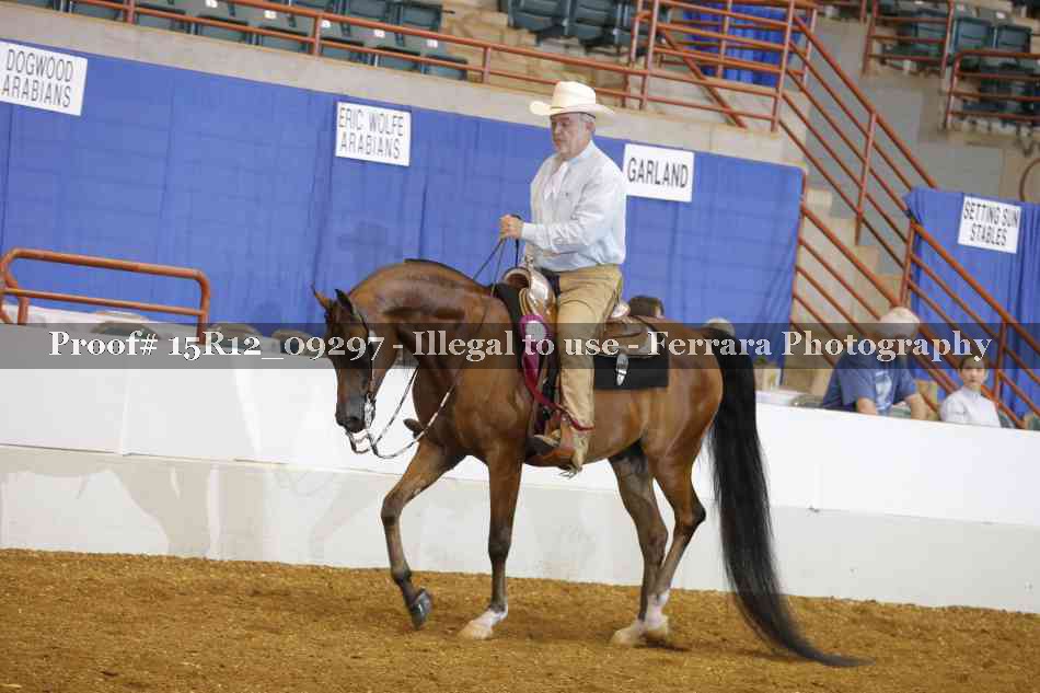 Proof Number 15R12_09297